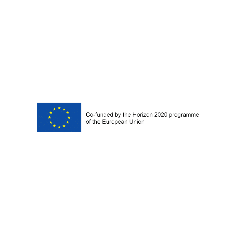 EU flag with funding text