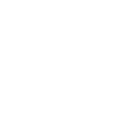 Seervision white logo no text
