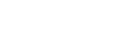 BCG Logo white