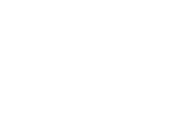 Verve ventures logo white